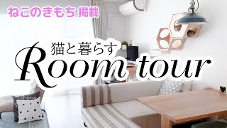 SUB）ねこのきもち掲載！猫と暮らすインテリア・ルームツアー/Room tour for living with cats［スコティッシュフォールド］