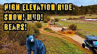 UTV High Elevation Adventure. Riding Through Snow, Mud, and Bear Country! #utv #Adventure #offroad 