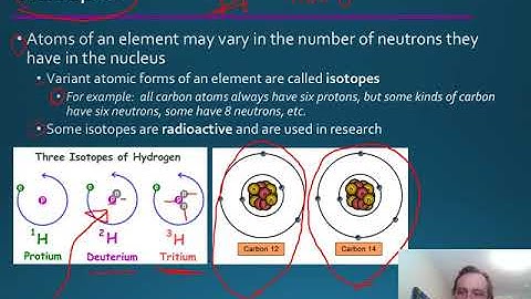 BI 101 Chapter 2 PowerPoint Outline video