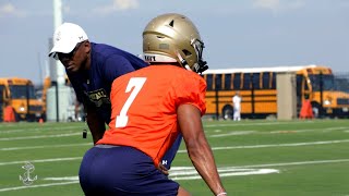 Three Quarterbacks vying to be Navy's starter in 2021