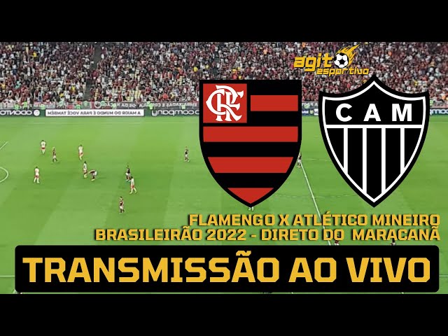 Flamengo x Atlético Mineiro ao vivo Agora 29/11/23
