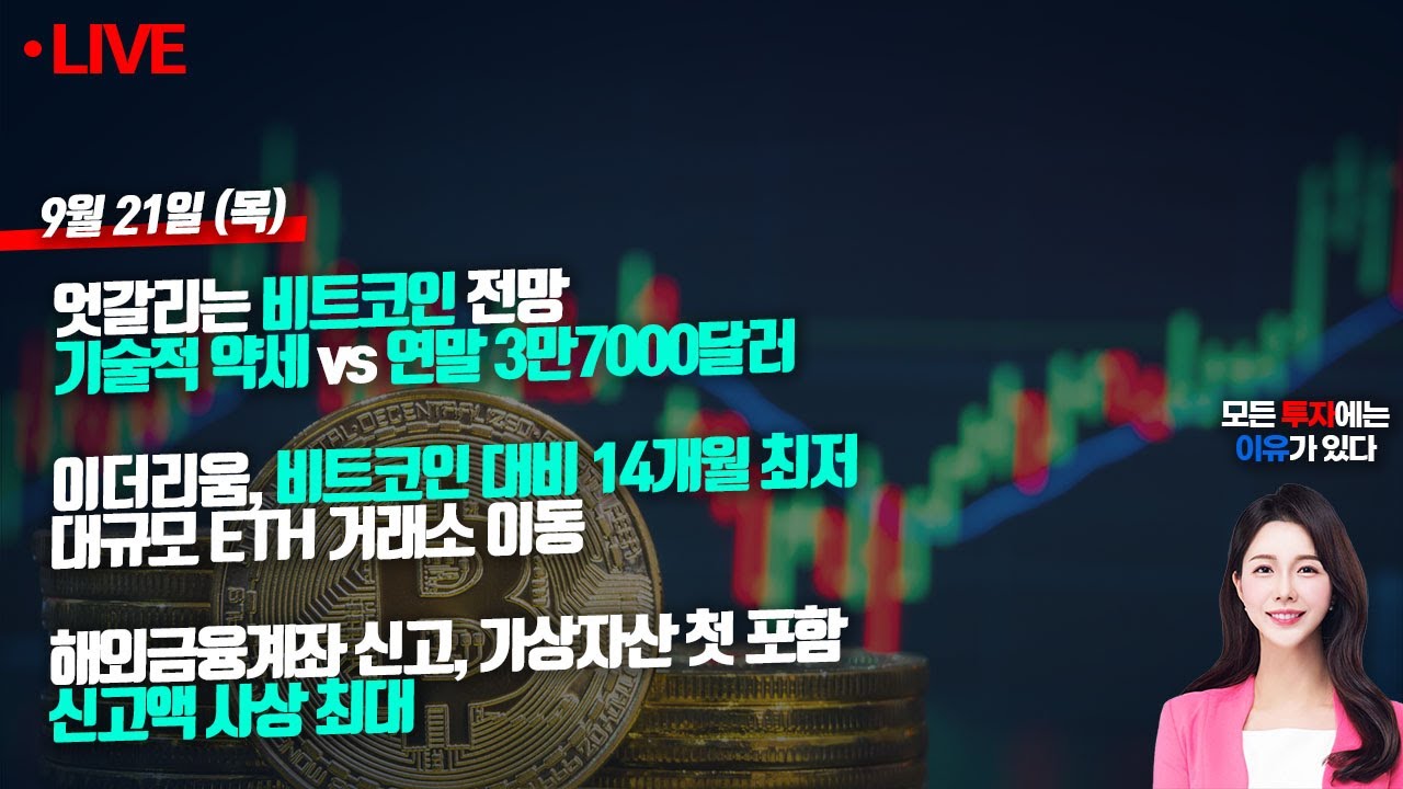 📢빠친코 시즌2🤞 엇갈리는 비트코인 전망..기술적 약세 vs 연말 3만7000달러 (실시간 비트코인)