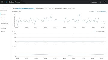Product Spotlight: Runtime Manager