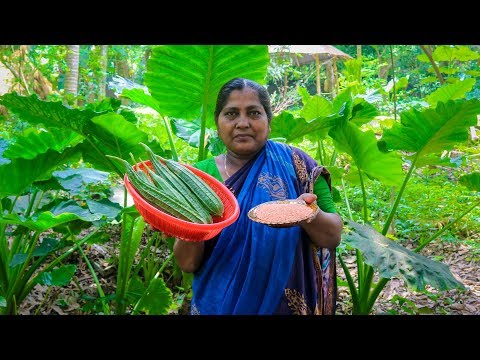 Vegetable Recipe: Sponge Gourd with Red Lentil Village Cooking Recipe by Village Food Life