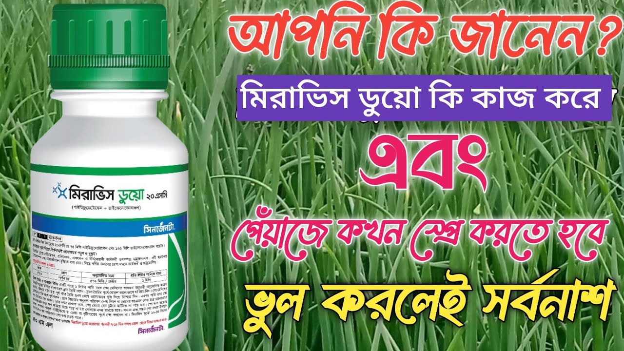 Miravis Duo 20sc Fungicide । মিরাভিস ডুয়ো পেঁয়াজে কখন স্প্রে করতে হবে। মিরাভিস ডুয়ো কি কাজ করে 