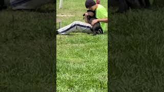 BCSO Bondable Pup Jade