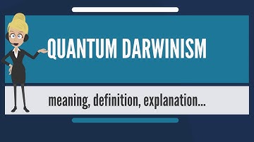 What is quantum Darwinism?