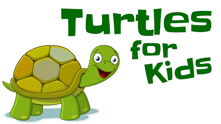 Turtles for Kids - DayDayNews