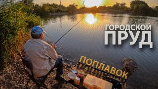 ПОПЛАВОК на городском ПРУДУ