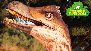 VELOCIRAPTORS are here! - Prehistoric Kingdom [4K]