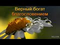 "Верный богат благословением". А. И. Бублик. МСЦ ЕХБ.