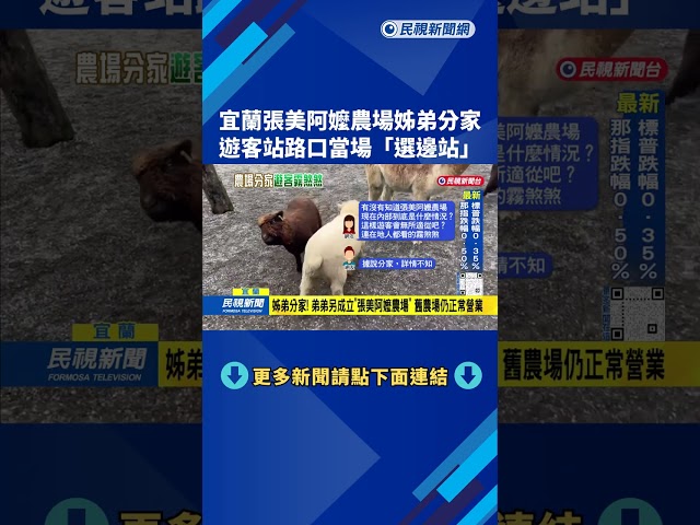 宜蘭張美阿嬤農場姊弟分家 遊客站路口「當場選邊站」－民視台語新聞