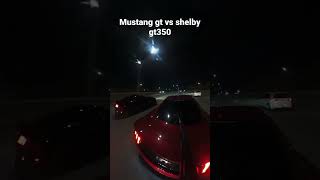 STOCK 5.0 10SPEED VS SHELBY GT350