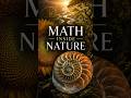 Nature Has a Secret Code