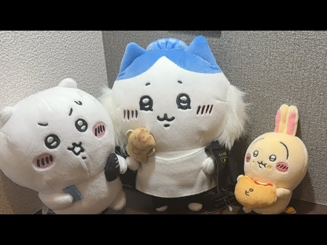 Chiikawa] Live stream to talk about Chiikawa ^ ^ - YouTube