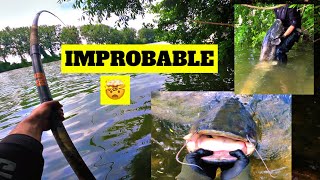 La fraie est finie !!! (Silure de seine)