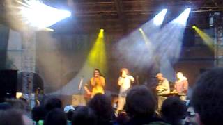 Medial Banana  - Sójové rezne (live)
