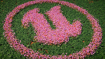Logo Reveal : Unreal Engine