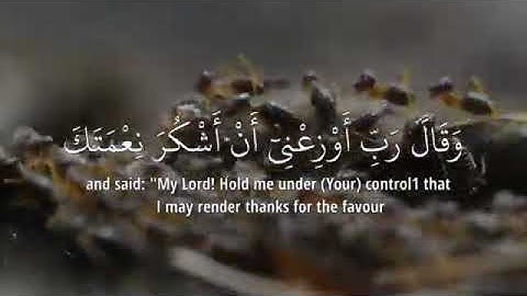 سـورة النمل القارئ بلال دربالي قرأن كريم راحه نفسيه