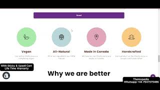 Download Shrine Pro Theme Without Any Hle