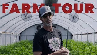 Inside a tier II commercial cannabis cultivation farm
