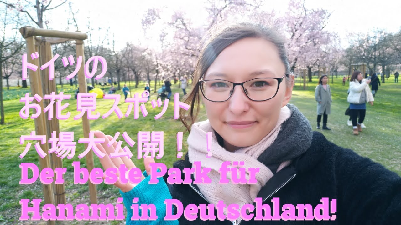 ドイツ観光 穴場お花見スポット Kirschbluten In Deutschland Youtube