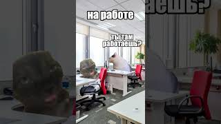 Пов: Купила Сумку На Вб #Shorts #Мем #Коты