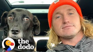 Surfer Decides To Foster A Dog After Big Surgery | The Dodo