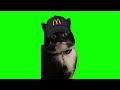 Green Screen McDonald’s Cat Meme