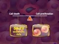 Introduction to Cancer Biology (Part 2): Loss of Apoptosis