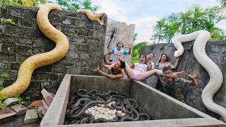 5 Brave Expert Rescues Younger Sister from 100 Giant Python In Abandoned House
