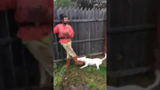 Cheamă-L Băăăă Pe Cristi Wăăăăcristiiiii Bă Cristi