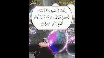 سورة القصص الآية ( 56 )