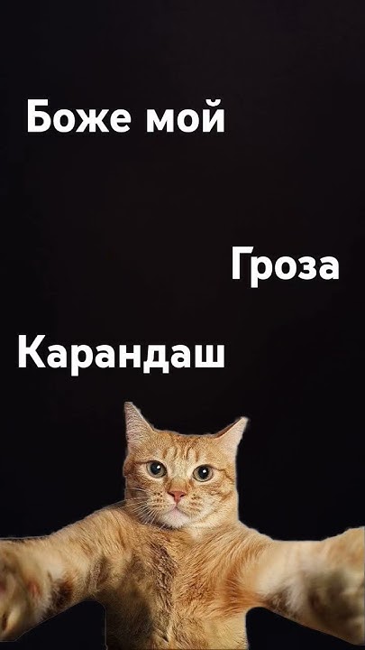 Кто шарит - YouTube