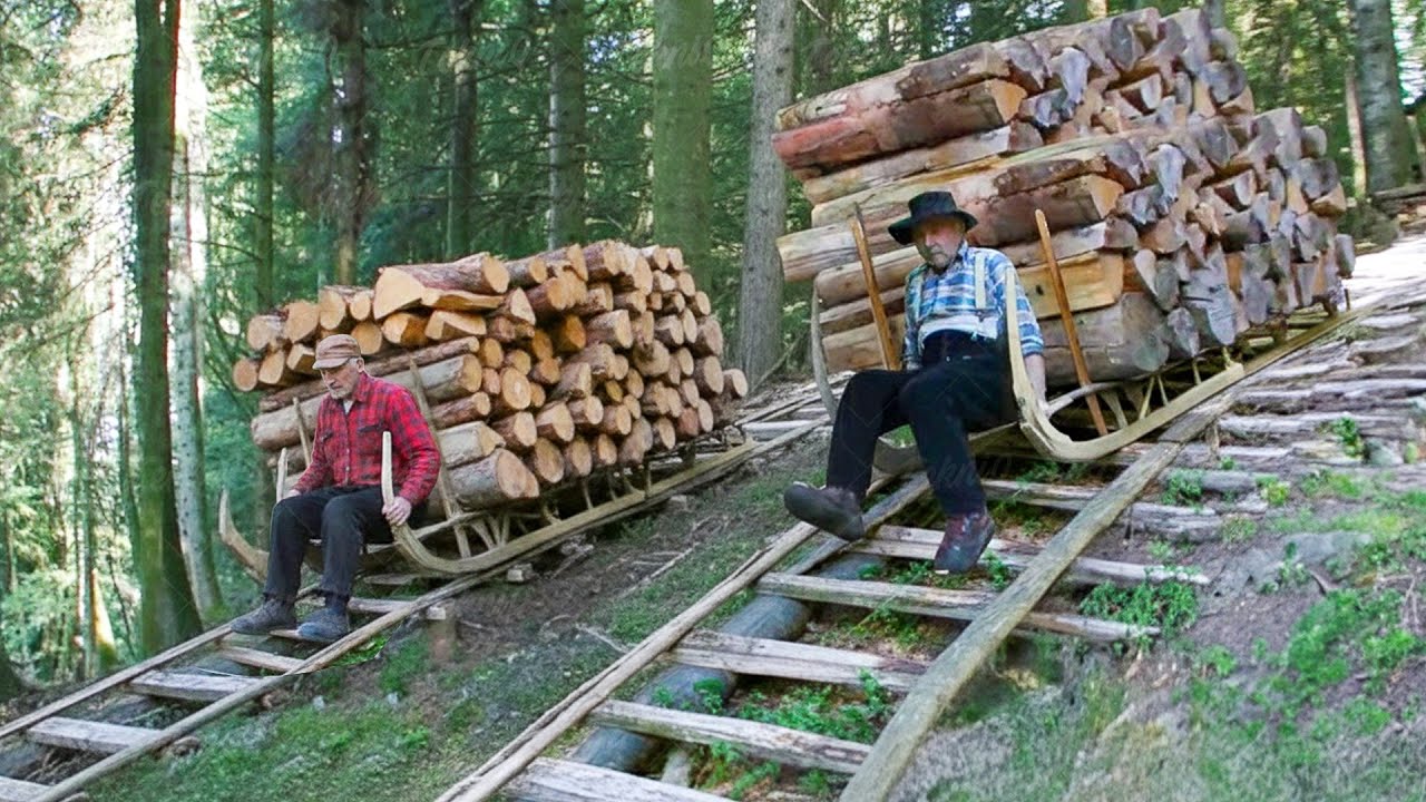 Amazing Way These Old French Men Slide Tons of Wood Downhill