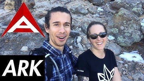 ARK: DPoS, IOT, SmartBridge & Super Fast Blocks