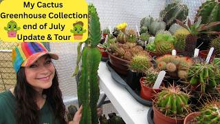 My Cactus Greenhouse Collection end of July Update & Cactus Tour #cacti #cactus