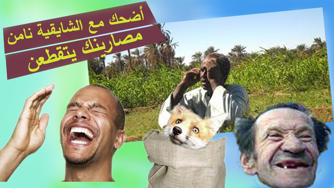 حكاوي شايقية مية المية - أضحك مع الشوايقة نامن مصارينك يتقطعن بالضحك