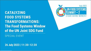 UNFSS+2  Catalyzing Food Systems Transformation
