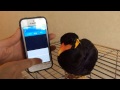 あべちゃん:翻訳してみた その3