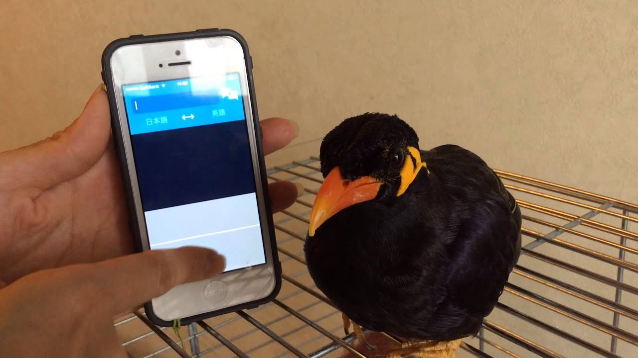 あべちゃん 翻訳してみた その３ Youtube