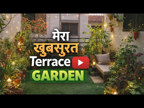 My beautiful Terrace garden overview 🥰 show my beautiful flowering plants🥰