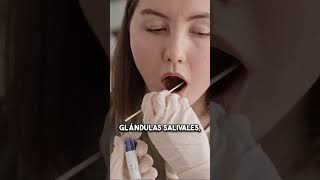 ¿Sabías cuales son las gladulas más afectadas en el sinfrome de Söjren? ¿Sabías cuales son las gladulas más afectadas en el sinfrome de Söjren?