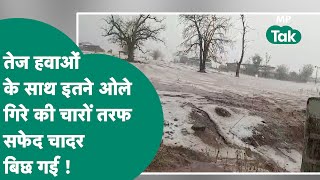 MP Weather: मौसम विभाग के रेड अलर्ट का दिखा असर, Bhopal सहित इन जिलों में जबरदस्त ओलावृष्टि ! MP Tak