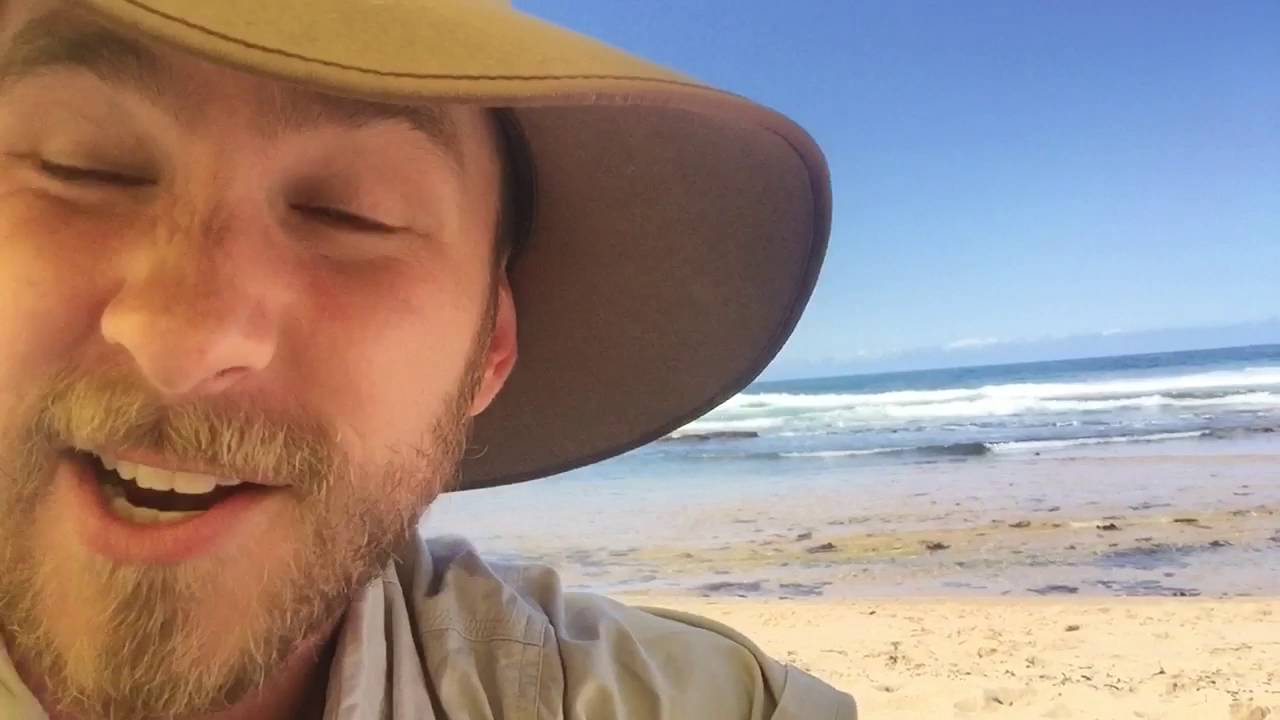 australia แปลว่า SHARKS with Ranger Jamie