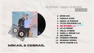 Mikail Cebrail Ne İstedin #keşfet #öneçıkar #mikailcebrail #youtubeshorts #youtube 
