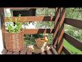 Guesthouse Bor, Plitvicka Jezera, Croatia | Travel With Chhaya