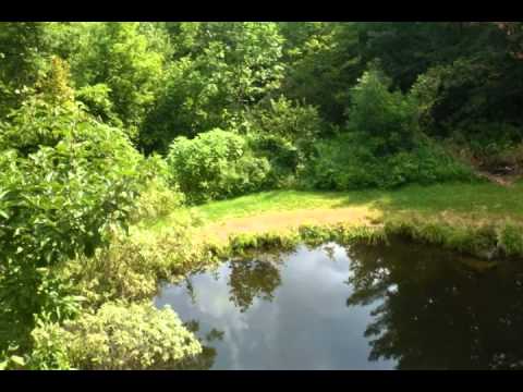 299 Gove Hill, Lincoln, VT home video tour