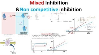 mixed inhibition and non competitive inhibition