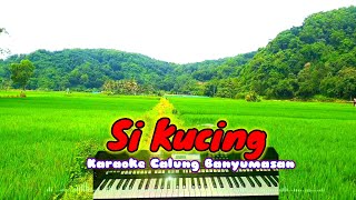 Download Lagu Calung banyumasan si kucing karaoke MP3